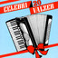 20 Celebri Valzer Albumcover