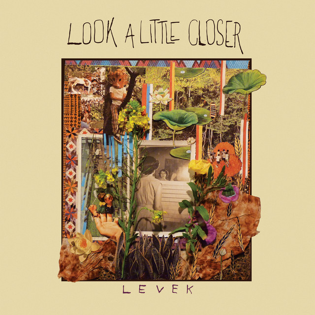 Look a Little Closer cover art