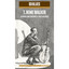 BD Music Presents T-Bone Walker cover