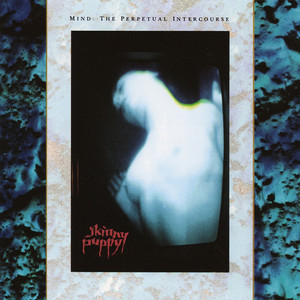 Mind: The Perpetual Intercourse album