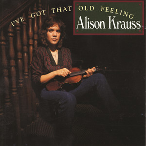 I've Got That Old Feeling cover