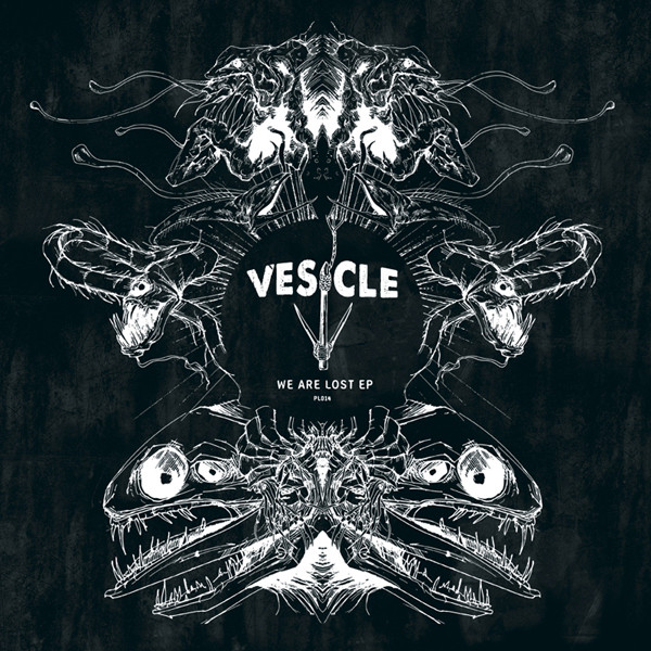 Vesicle Photo