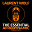 The Essential Afrodynamic cover