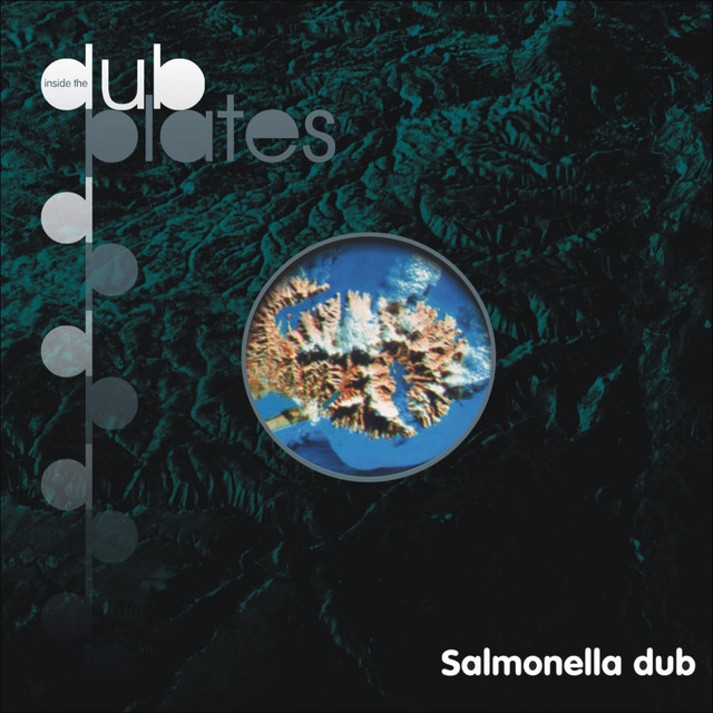 Salmonella Dub photo