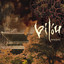 Muzjyou Albumcover