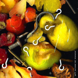 Sociedad del Bienestar Albumcover