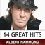 14 Great Hits - Albert Hammond cover