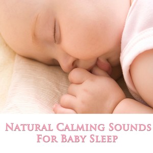 Sleeping Baby