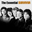 The Essential Survivor cover