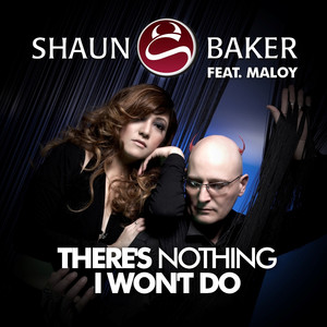 There's Nothing I Won't Do (feat. Maloy) album
