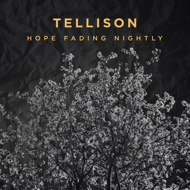Hope Fading Nightly cover