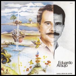 Nunca Deixe de Sonhar cover