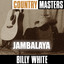 Country Masters: Jambalaya Albumcover