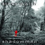 Shadowman cover
