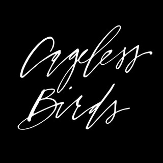 Cageless Birds Photo