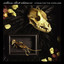 Hymns For The Hopeless cover