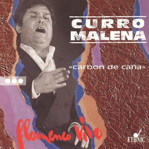 Bulerías cover
