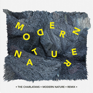 MODERN NATURE (REMIXES) album