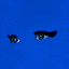 Allan Rayman - Ducks On The Pond