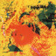 Young Person's Guide to Phill Niblock (YPGPN) Albumcover