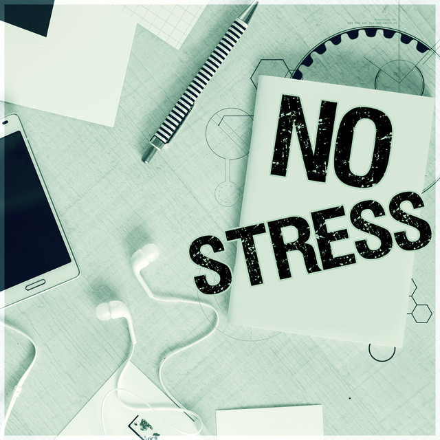 No Stress - Concentration Music and Study Music for Your Brain Power, New Age Natural Sounds, Meditation and Focus on Learning Albumcover