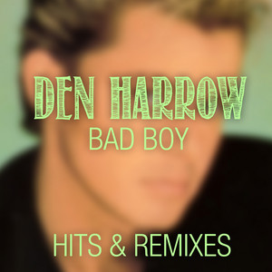 Bad Boy (Hits & Remixes) cover