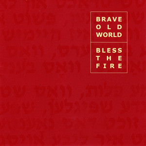 Bless The Fire cover