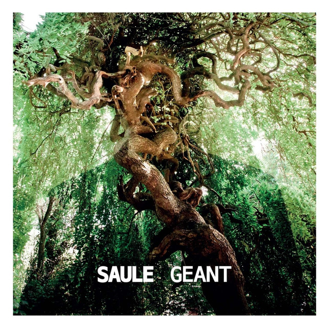 Géant cover