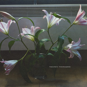 Trivial Occupations cover