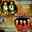 Agarron de Harpa Nortena Vol. 1 Albumcover