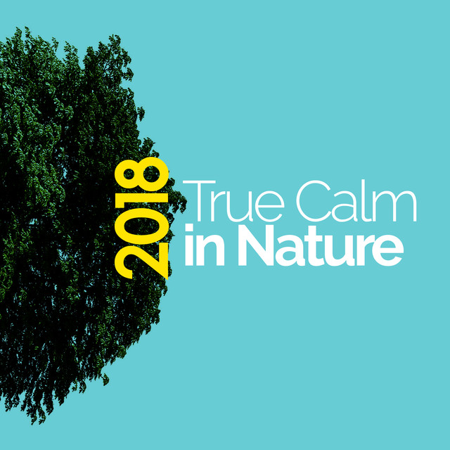 2018 True Calm in Nature