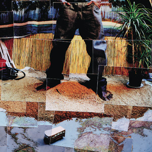 Pli fo cover