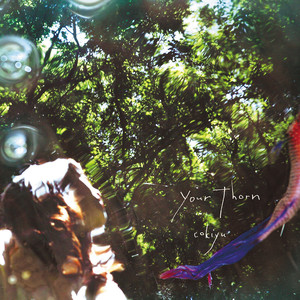 Your Thorn cover