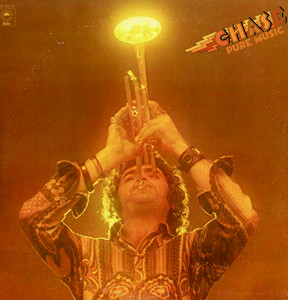 Pure Music album