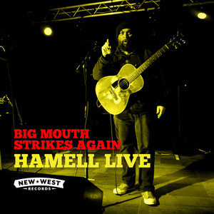 BIG MOUTH STRIKES AGAIN cover