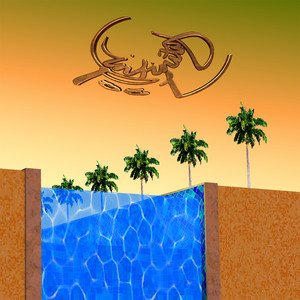 Infinity Pool cover
