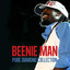 Beenie Man​ ​Pure Diamond Collection cover