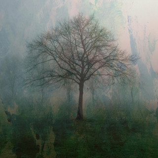 Dream of Eden Photo