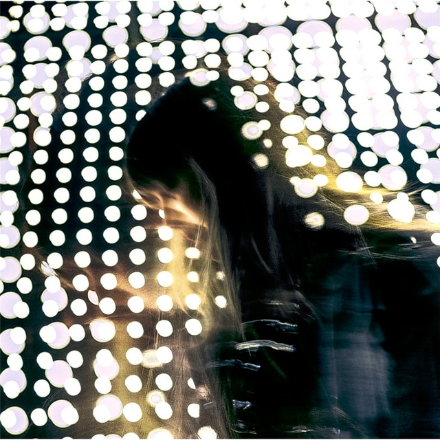 Consilience Photo