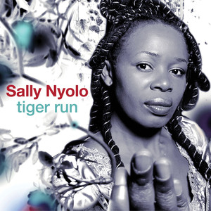 Tiger Run cover