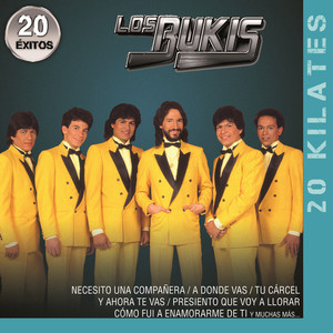 20 Kilates 20 Éxitos album