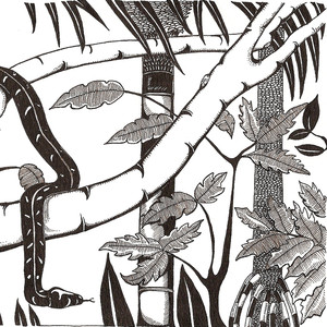 'S-t' cover