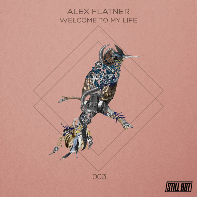 Alex Flatner Photo