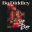 Bo Knows Bo cover