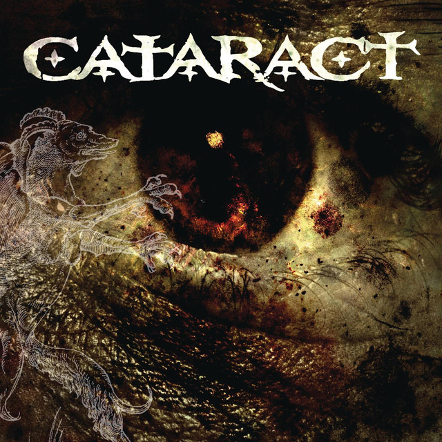 Cataract cover