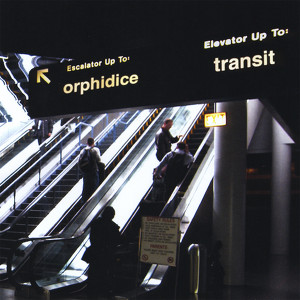 Orphidice