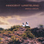Innocent Wasteland Albumcover