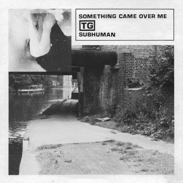 Subhuman / Something Came Over Me cover