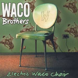 Electric Waco Chair cover