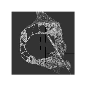 Split cover